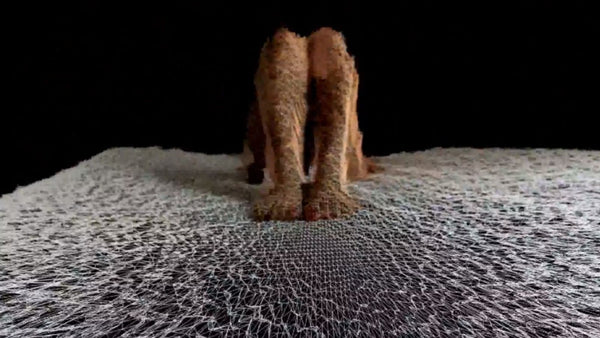 2010: Play with my Xbox!