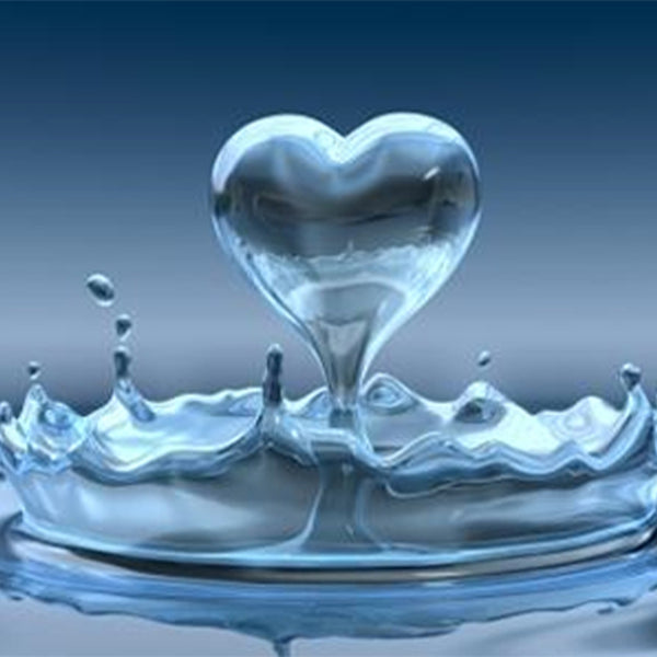 2009: Ode To Lube - Introduction to Lubricant