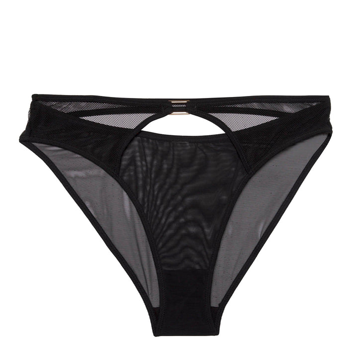 Holland Fishnet and Mesh High Waisted Brief