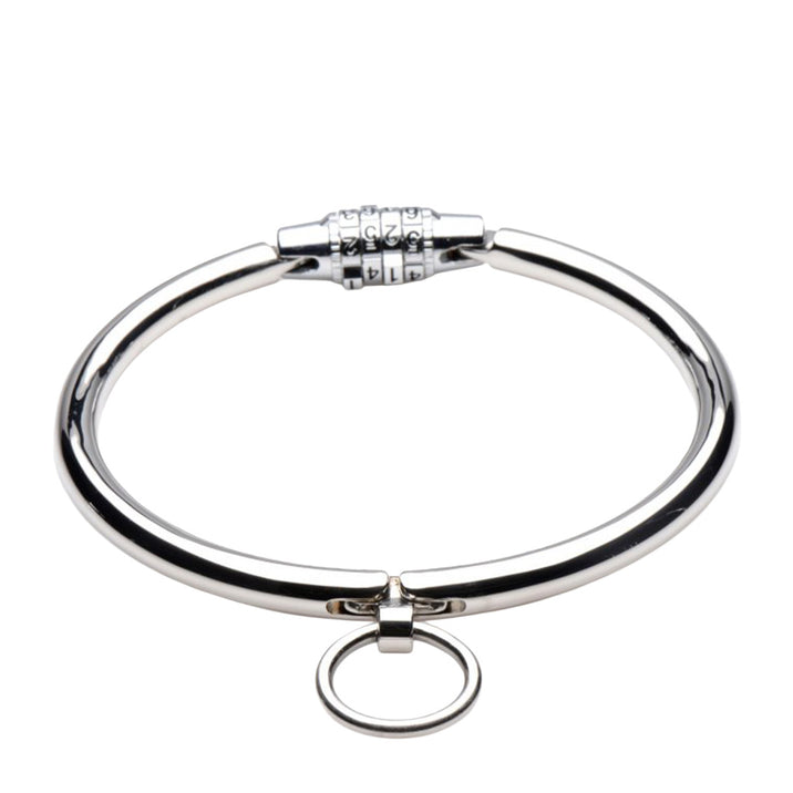 Stainless Steel Combination Lock Slave Collar