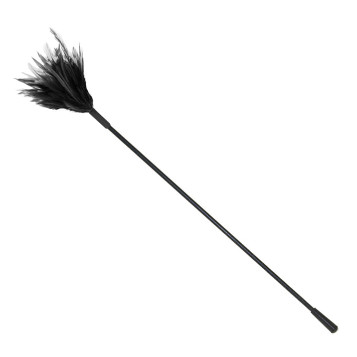 Love in Leather Feather Tickler