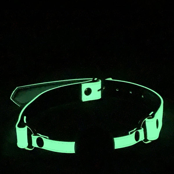 Love in Leather Glow in the Dark Ball Gag