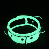Love in Leather Glow in the Dark Collar and Leash